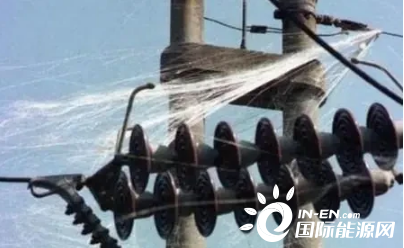 公海彩船·6600(中国)官方网站