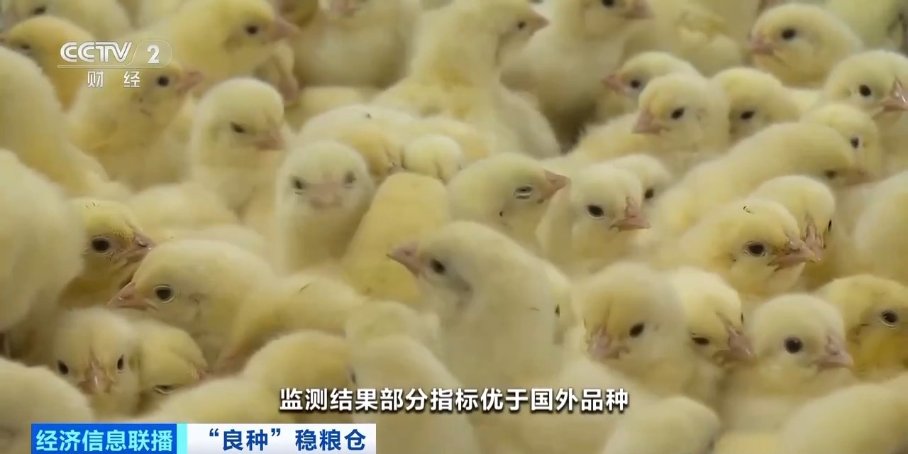 20260408094152_46030 首页| 88858cc永利集团中国区官方网站