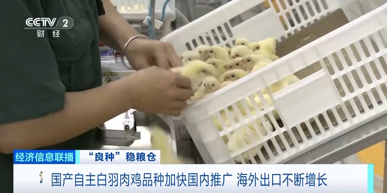 20260408094220_95222 首页| 88858cc永利集团中国区官方网站