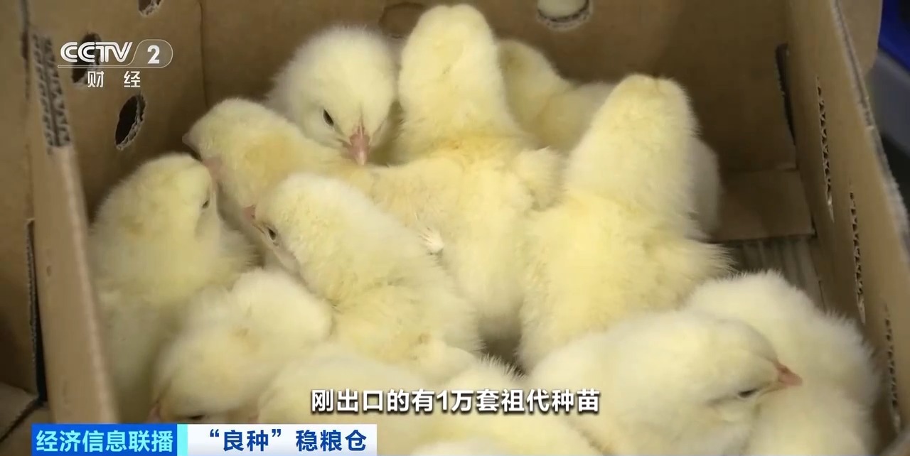20260408094234_86644 首页| 88858cc永利集团中国区官方网站