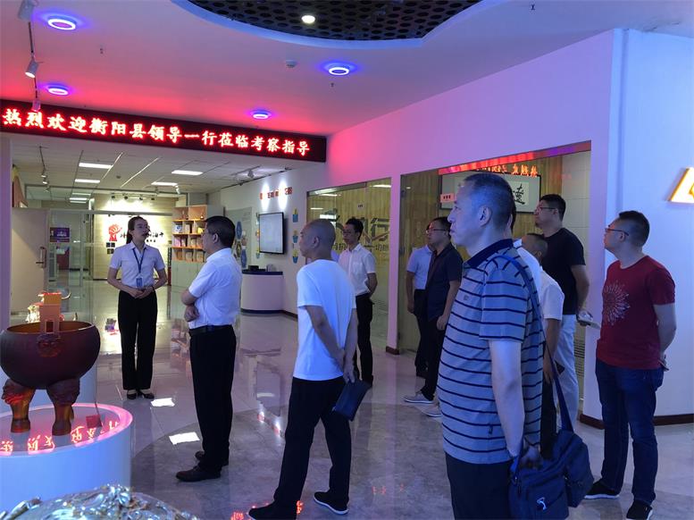 湖南省衡阳县常务副县长王苏龙一行莅临217永信贵宾会集团调查财路大数据项目